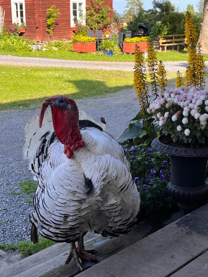 Ferienhaus Grindstugan Pa Fyras Gard *