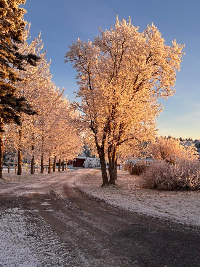 Ferienhaus Grindstugan Pa Fyras Gard *