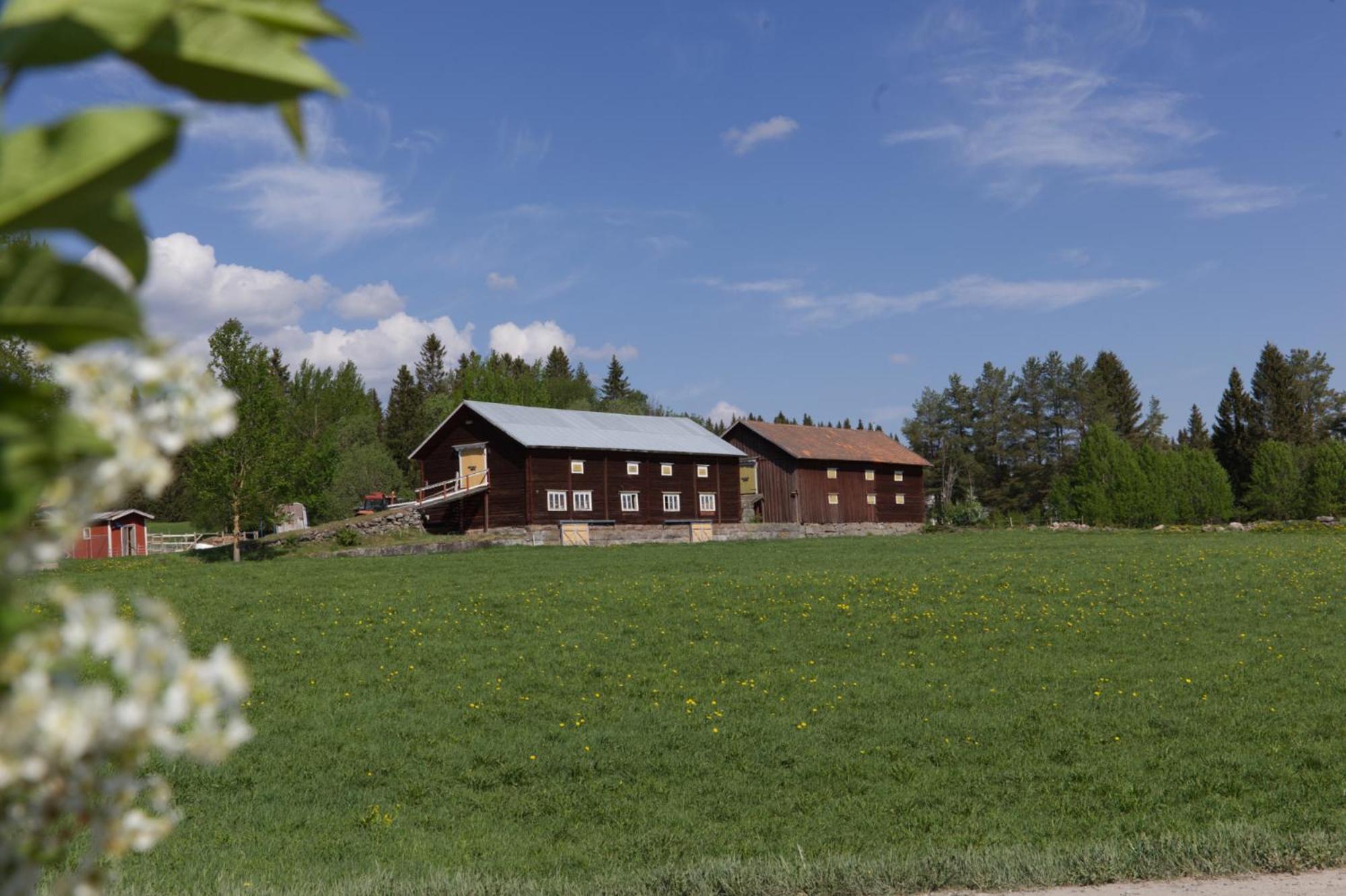 Grindstugan Pa Fyras Gard Ferienhaus Hammerdal