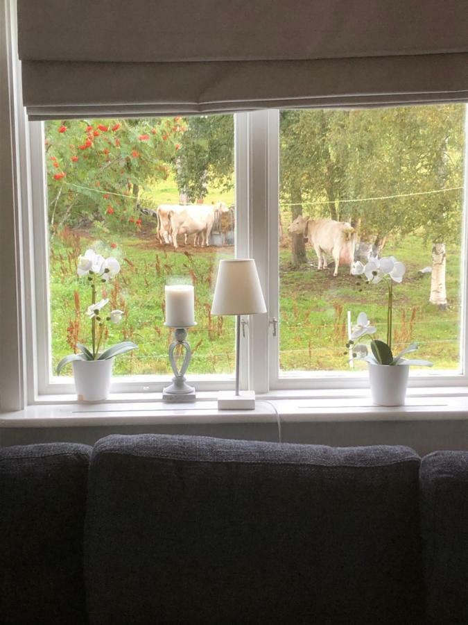 Ferienhaus Grindstugan Pa Fyras Gard
