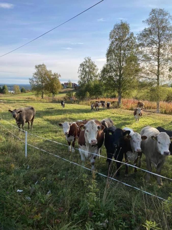 Grindstugan Pa Fyras Gard * Hammerdal